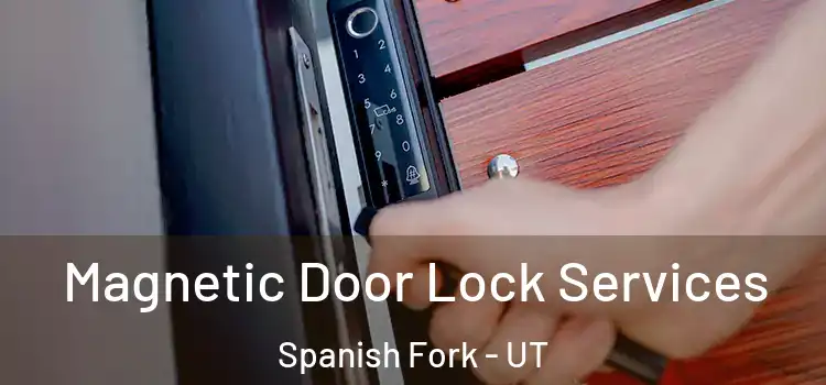 Magnetic Door Lock Services Spanish Fork - UT